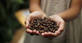Fair Trade Kaffee im Check