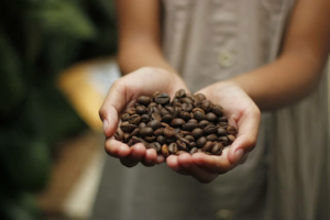 Fair Trade Kaffee im Check
