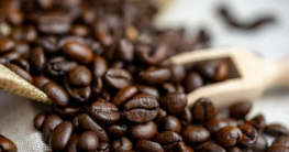 Kaffeebohnen-Sorten im Check