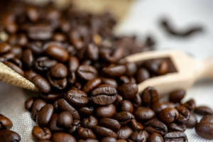 Kaffeebohnen-Sorten im Check